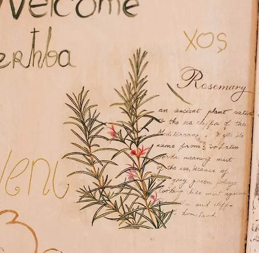 Apartment Edem Apartmants In 2